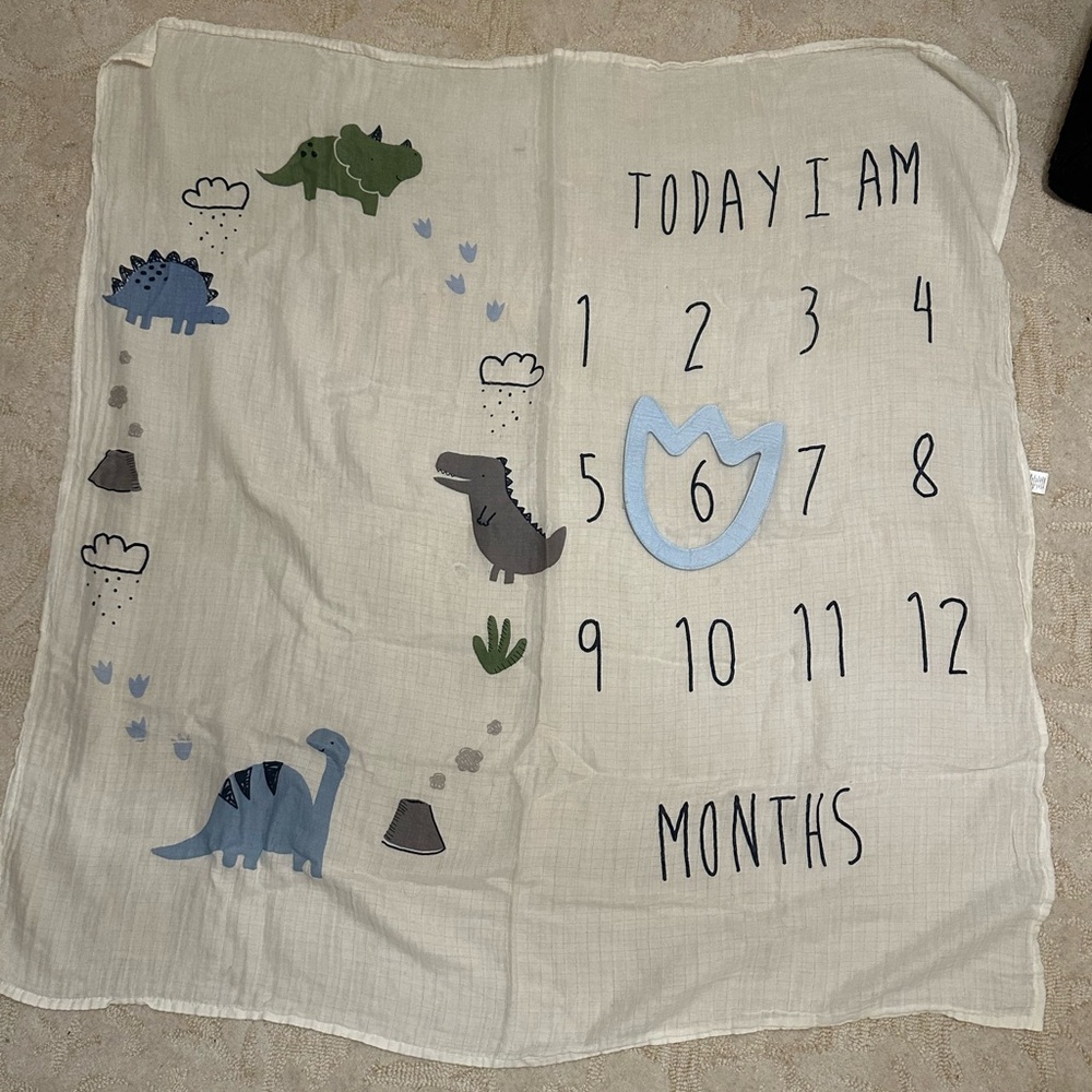 Dinosaur Muslin Baby Milestone Blanket